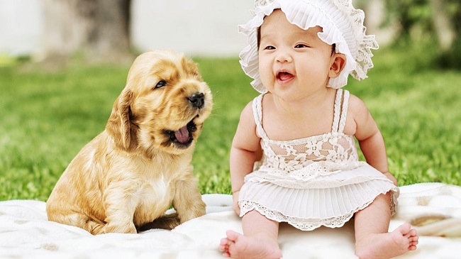 A Dog Teaches A Baby To Crawl