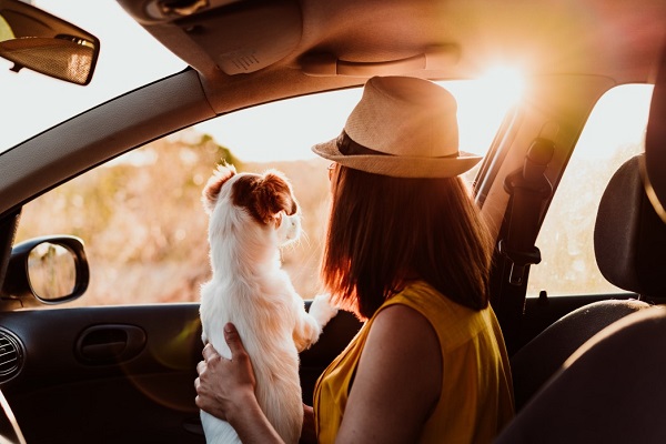 Dog Travel Ban Eased In the U.S.