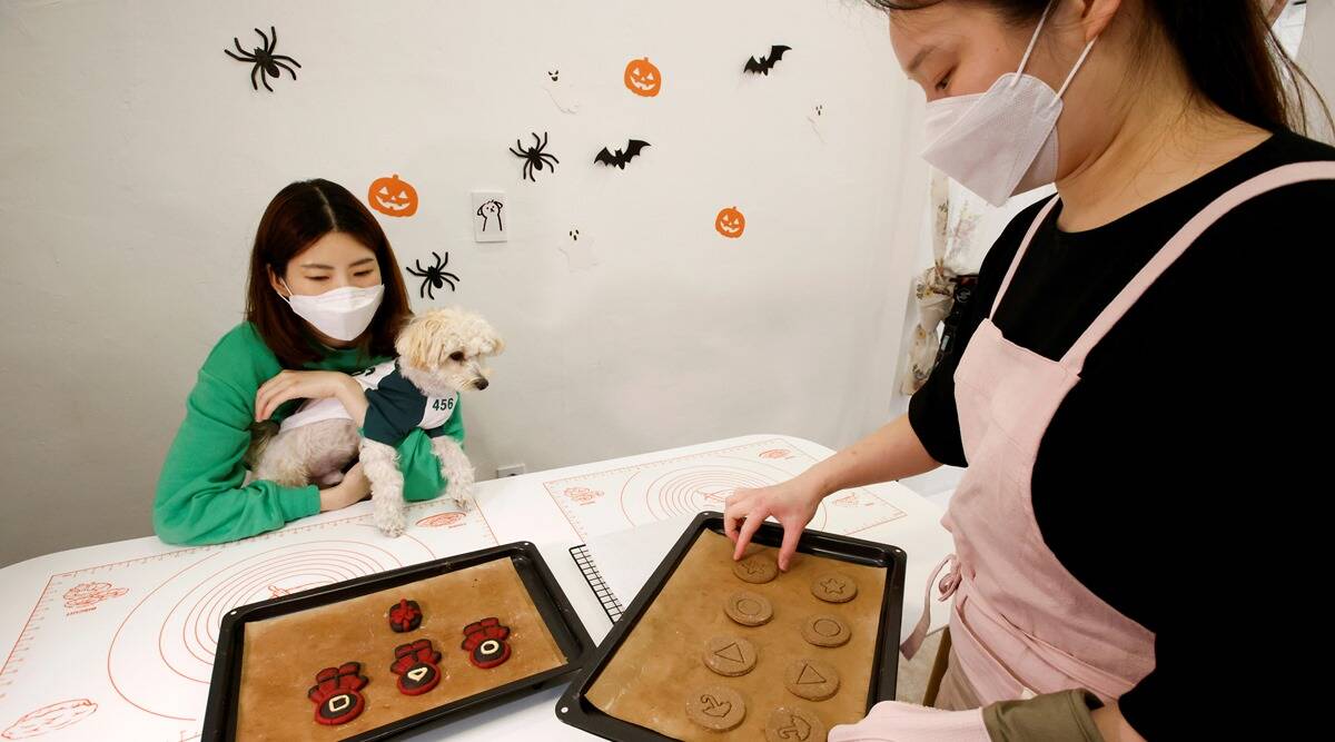 Squid Game Themed Dog Treats Created By A South Korean Baker