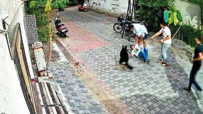 Surat Boy Thrashed For Taking Pet Dog For A Walk
