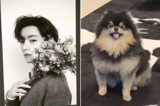 BTS V’s Love For Dogs Will Melt Your Heart As He Introduces Fans to His Pet ‘Yeontan’
