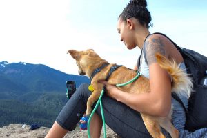 Creating The Best Photos And Videos Of Your Dog