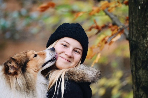 How Can I Tell If My Dog Loves Me? | DogExpress