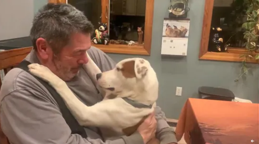 The man and his adopted doggo sharing some moments of joy and boops