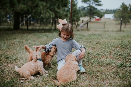 Which Dogs Get Along Well With Children