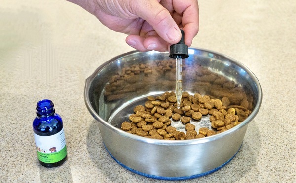 Benefits Of Hemp Oil For Dogs