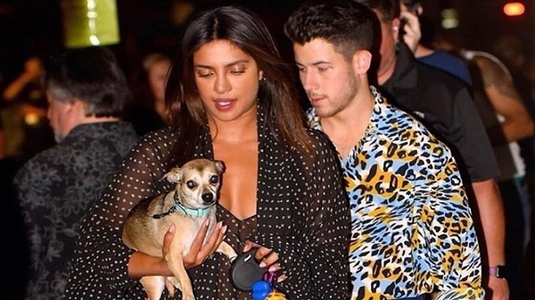 Priyanka And Nick Jonas Enjoy Walk With Their pet dogs at California Beach
