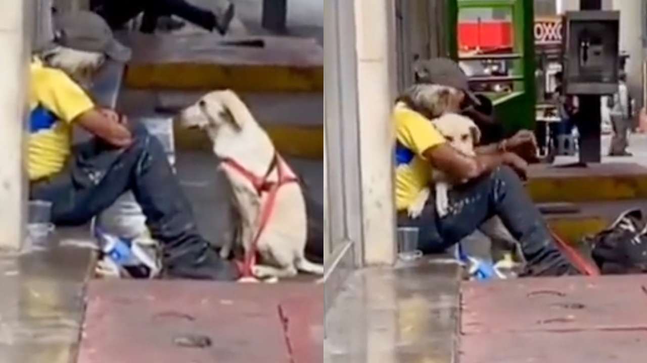 Video Goes Viral Of A Homeless Man Being Hugged By A Dog