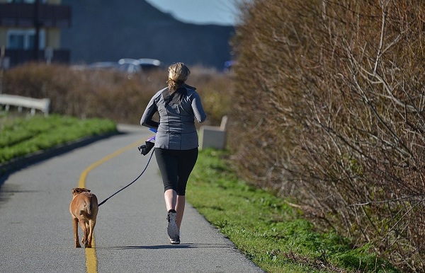 The Best Dog Breeds for Running