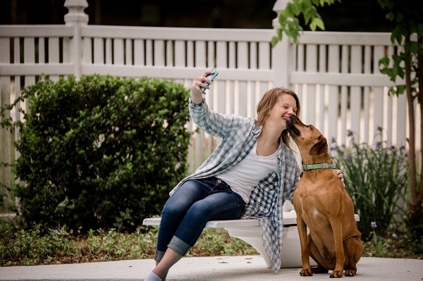 Top 10 Tips on How to Take Cute Photos of Your Dog
