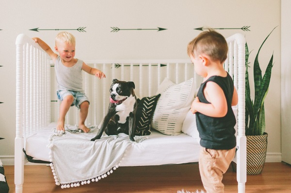 14-month-old baby's reaction on seeing a dog