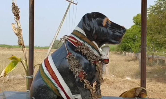 82- Year Old Man Builds A Temple In Memory Of His Dog In Tamil Nadu