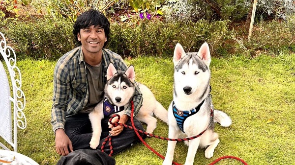 Dhanush Shared Reunion Photos With His Dogs