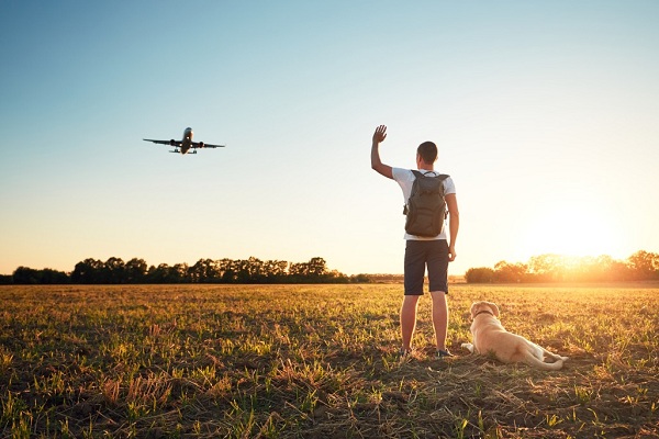 How to Ensure A Safe and Fun Trip with Your Dog?