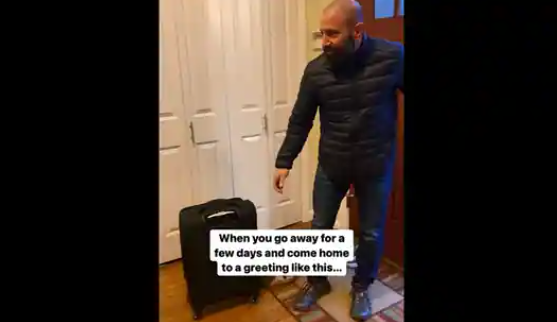 Human returns home from trip, this is how dog reacts. Video is all about love