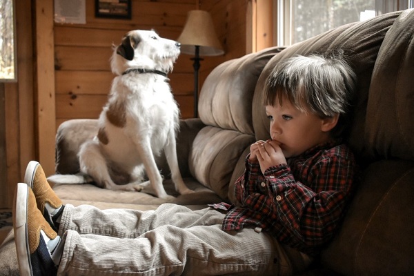 Keeping Dogs and Kids Safe Together