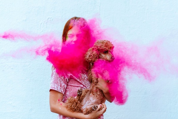 Keeping Your Dog Safe From Colors This Holi