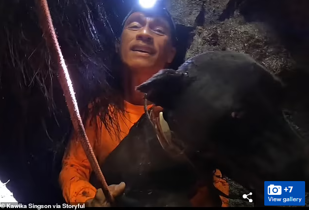 Hawaiian Adventurer Climbs Down A Live Volcano To Rescue A Dog