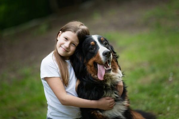 Signs That You Are Taking Good Care Of Your Dog
