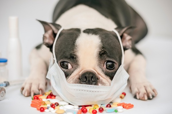 Spread of Highly Contagious Virus across South Florida .