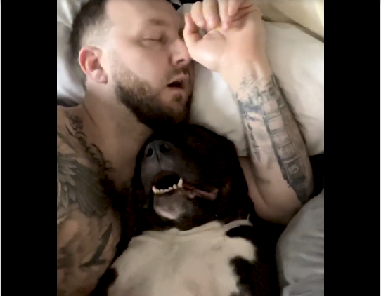 This Video of Dad, Pet Dog Snoring Next to Baby is Winning Hearts
