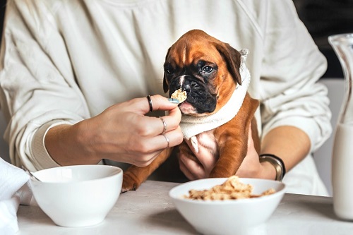 Ways to measure pet foods