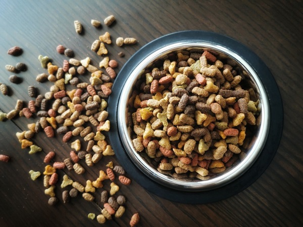 What To Do If Your Pet’s Food Is Out Of Stock Ev