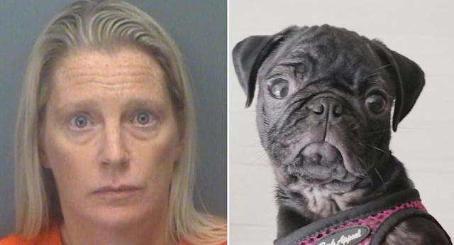 Woman Throws Boyfriend’s Dog From A Seventh Floor Balcony In Florida