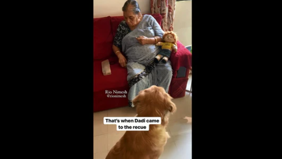 Dog patiently waits as dadi fixes its favourite toy