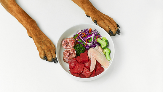 How to Transition into a Raw Dog Food Diet