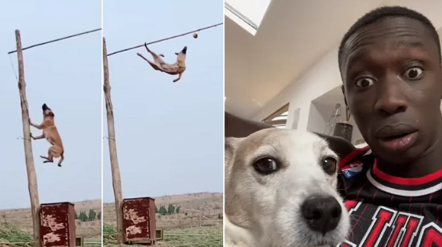 Khaby Lame and His Pet Dog Go Viral Again over THIS video