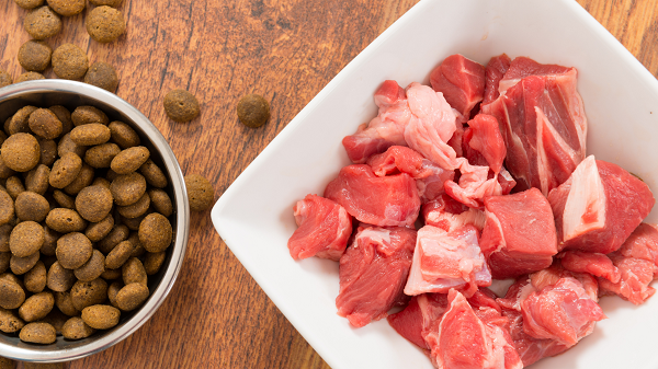 Top 5 Benefits of a Raw Diet for Dogs