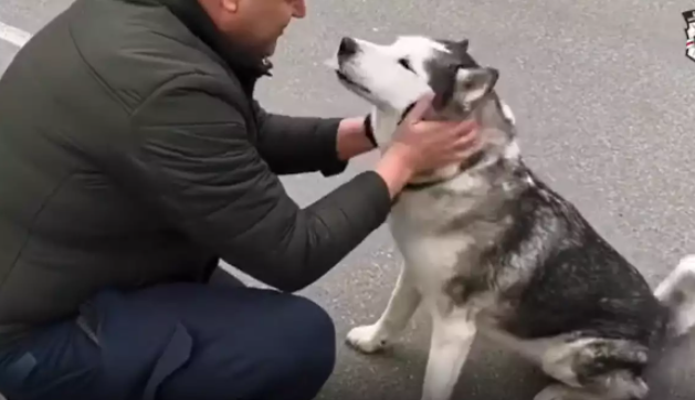 Ukrainian man reunites with his lost husky
