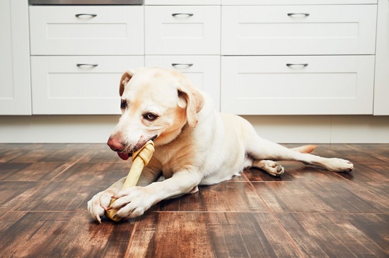 What kind of cooked bones are ideal for dogs