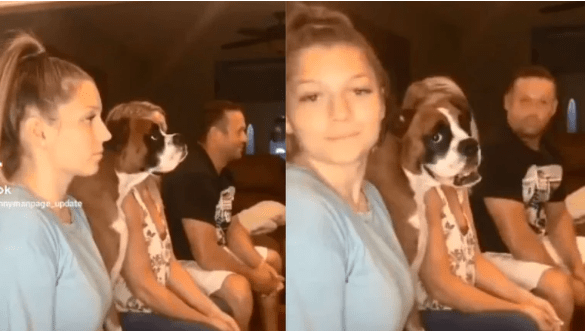 Dog Makes TikTok Video