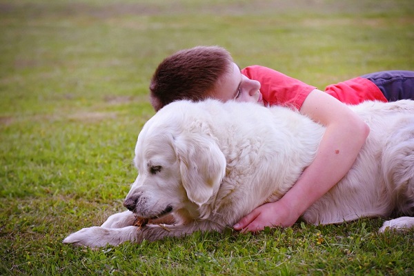 Emotional Support Dog Meaning, Advantages, and Breeds