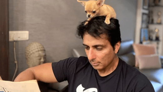 Sonu Sood Shares Newspaper With His Adorable Dog