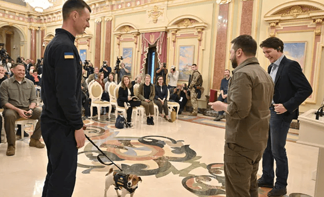 Ukraine’s President Presents Award to a Mine Sniffing Dog