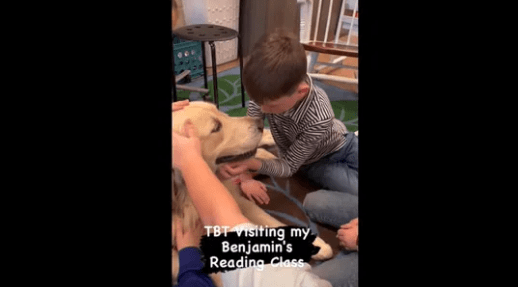 Watch the video of Dog accompanying the kid to his second-grade class