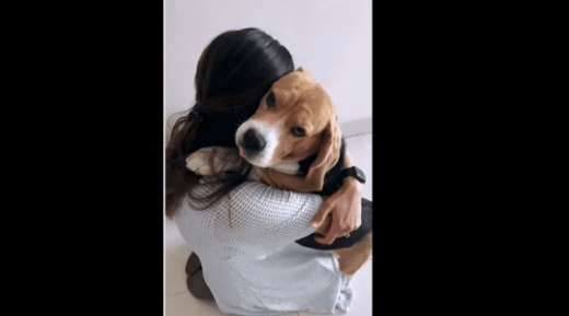 Women get a hug from a cute dog