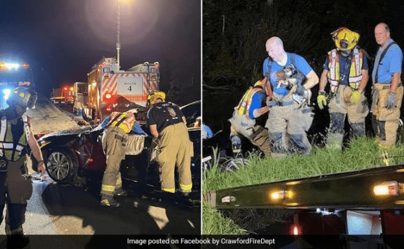 In US Firefighters Rescue Dog Stuck In Submerged Vehicle For 20 Minutes