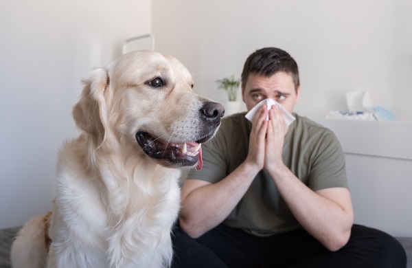 Infections that your pet can spread