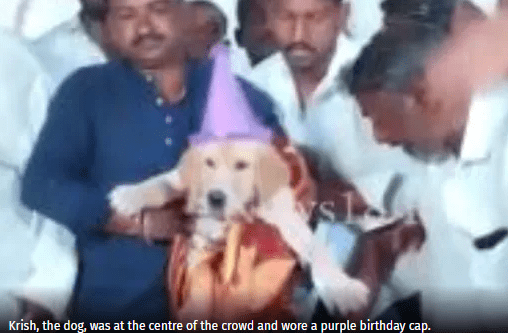 Karnataka Man Celebrates Pet Dog’s Birthday With 100 kg Cake