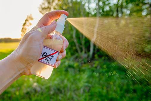 Make an At-Home Fly Repellent