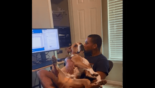 Man Forms An Unbreakable Bond With A Dog He Initially Refused To Adopt