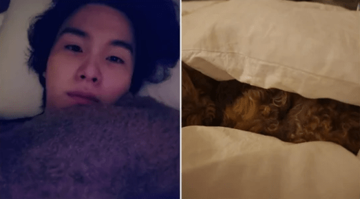 Pet Dog of BTS’ Suga Sleeps On Him and Steals the Blanket