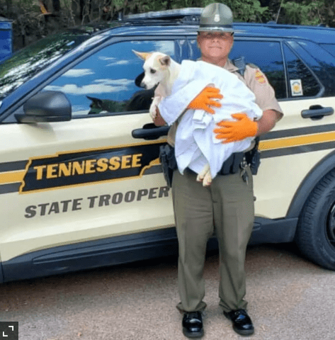 Tennessee Highway Patrol Trooper Adopts Dog He Rescued From Extreme Heat