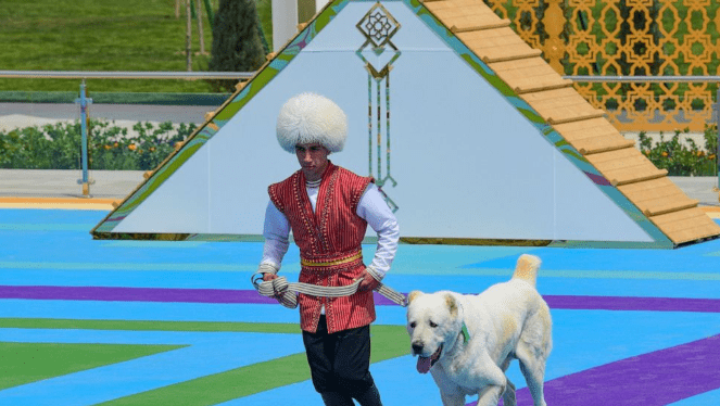 Laws Change for Alabay Dogs in Turkmenistan