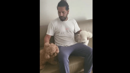 Watch How Yuvraj Singh’s Dogs Welcome Him