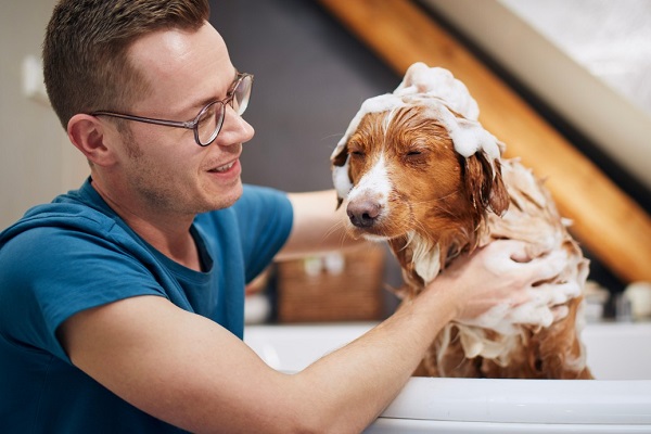 What Is the Best Thing to Wash a Dog with Skin Allergies?